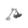 100mm 5 Function Shower Head On Linklock Arm -Renovation 10447