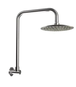 Elle Stainless Steel Gooseneck Shower Head With Arm