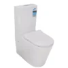 Poseidon Reno 600 Rimless Wall Faced Toilet – Gloss White -Renovation 14677