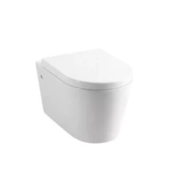 Poseidon Concealed Wall Hung Toilet Pan 302