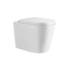 Poseidon Concealed Wall Faced Floor Mounted Toilet Pan 102 1 Poseidon Concealed Wall Faced Floor Mounted Toilet Pan 102 -Renovation 7557