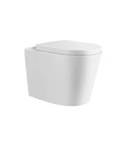 Poseidon Concealed Wall Faced Floor Mounted Toilet Pan 102