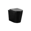 Poseidon Concealed Rimless Wall Faced Floor Mounted Matt Black Toilet Pan 102 -Renovation 7572