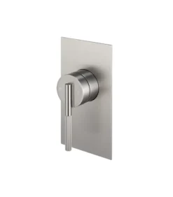 CADDENCE Brushed Nickel Wall Mixer