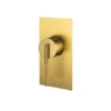 CADDENCE Wall Mixer – Brushed Brass