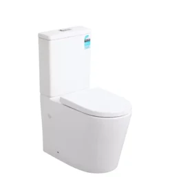 Poseidon Reno 022 Rimless Wall Faced Toilet – Matt White
