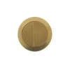 Poseidon Brushed Yellow Gold Round Press Toilet Button -Renovation PB RBG 04