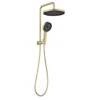Gabe Brushed Gold Twin Shower No Rail 1 Gabe Brushed Gold Twin Shower No Rail -Renovation T7801BG New