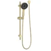 Gabe Brushed Gold Round Hand Shower On Rail -Renovation T7802BG New