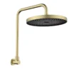 Gabe Brushed Gold Shower Head With Arm -Renovation T7803BG New