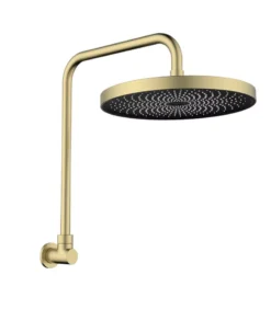 Gabe Brushed Gold Shower Head With Arm