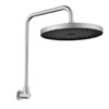 Gabe Brushed Nickel Shower Head With Arm -Renovation T7803BN New