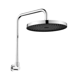 Gabe Chrome Shower Head With Arm