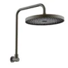 Gabe Gunmetal Grey Shower Head With Arm