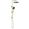 Gabe Brushed Gold Twin Shower On Rail -Renovation T7808BG New