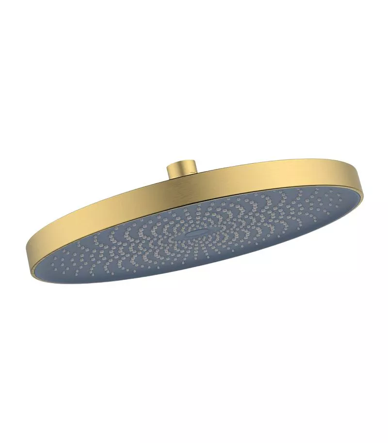Gabe Brushed Gold Round Shower Head 260mm 3 Gabe Brushed Gold Round Shower Head 260mm